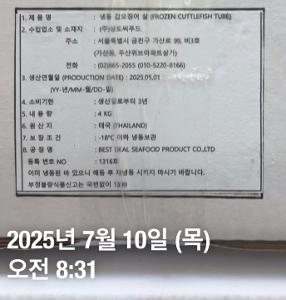 갑오징어(냉동,동체) 이미지