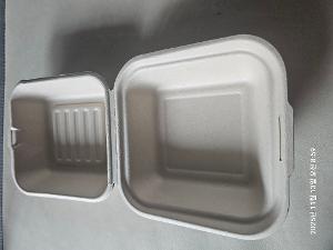 사탕수수 펄프용기 이미지