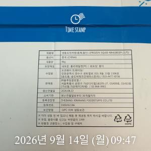 냉동 오징어링(동체,절단) 이미지